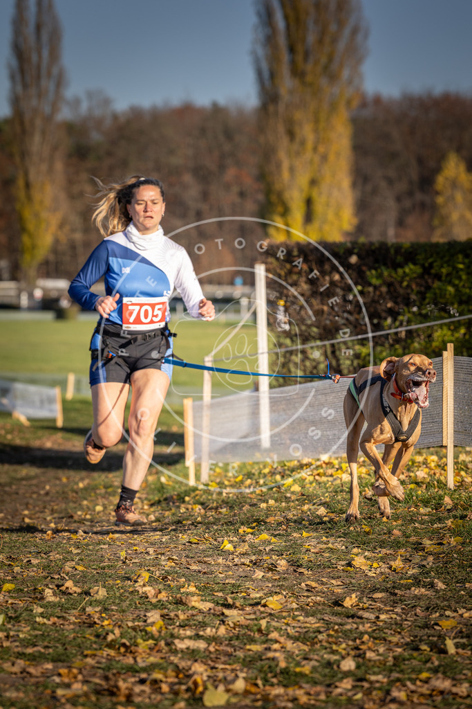 CaniXpix_DV3A1552 | Hundefotografie, Tierfotograf, Pfotenfotografie, Fotoshooting Hund, Hunde Portrait, Hundesport, Hundeportraits, Heideshooting, Hunde, Sportfotograf, Hundefotograf, Turnierhundsport, THS,  - Realisiert mit Pictrs.com
