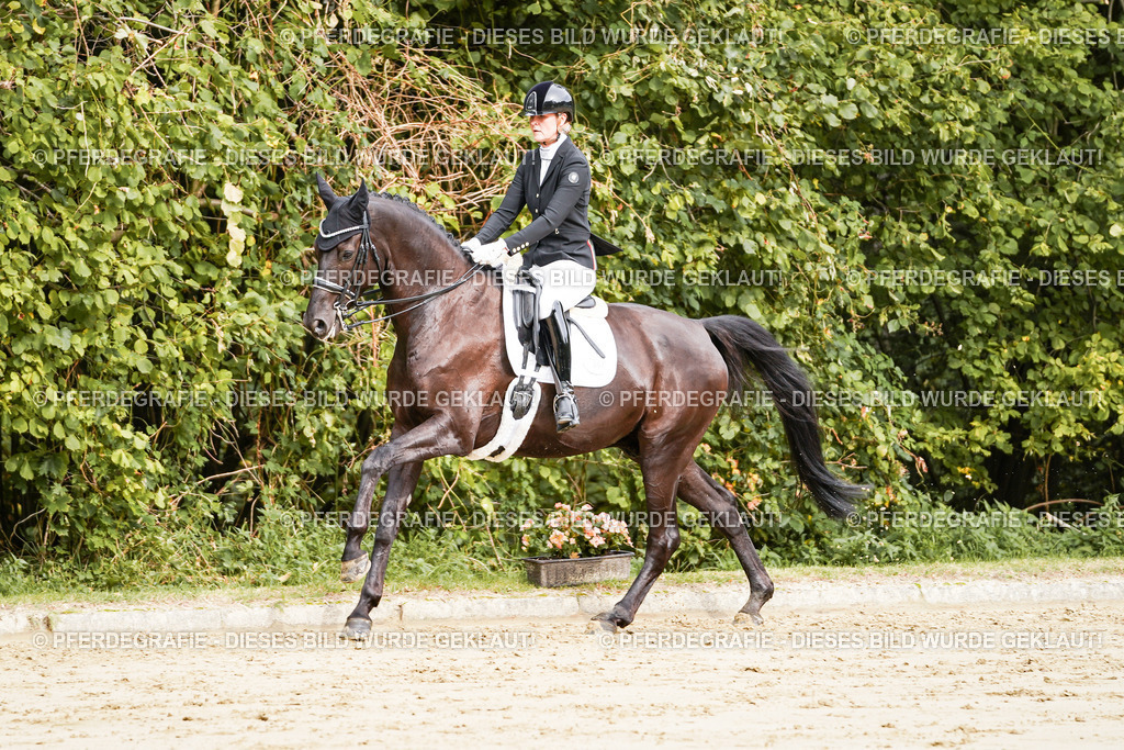 DSC02248 | Pferdegrafie