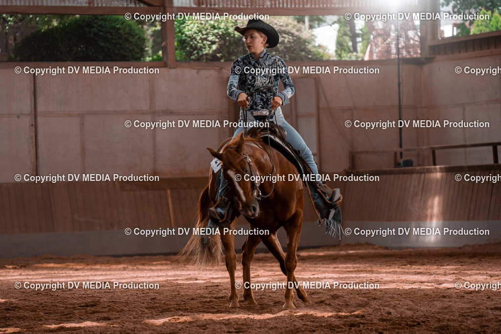 NE100462 | dv-media-shop - Realisiert mit Pictrs.com