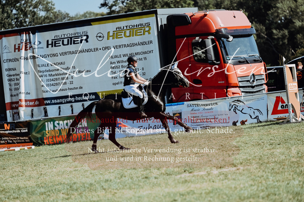 DSC_6637 | Pferde- und Turnierfotografie in Westsachsen. Pferdeportraits, Auftragszeichnungen und intuitive Kunst.