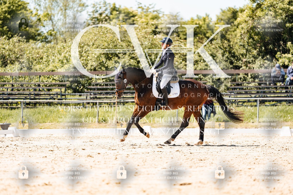 CK905669 | Turnierfotografie Pferdefotografie Trier Rheinland-Pfalz Pferdesport Reitsport Tierfotografie Sportfotografie Pferdevideo Pferdevideografie Equestrianvideography equestrianphotography  - Realisiert mit Pictrs.com