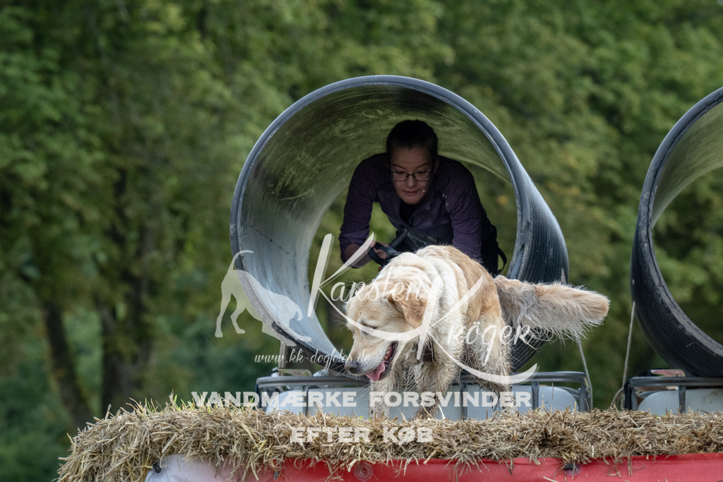 1035_ZZ92536 | kk-dogfotos