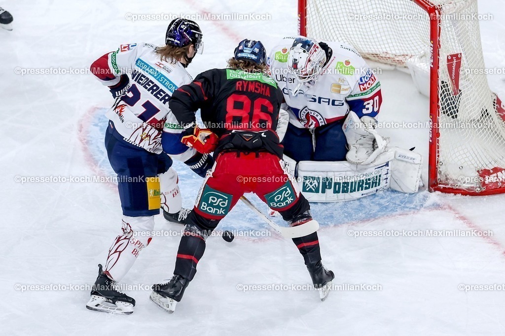 DEG12012501003 | 12.01.2025, Eishockey, Penny DEL, Düsseldorfer EG - Eisbären Berlin, PSD-BANK Dome: Manuel Wiederer (Eisbären Berlin #21) im Zweikampf gegen Drake Rymsha (DEG #86) vor dem Tor von Goalie Jake Hildebrand (Eisbären Berlin #30)
