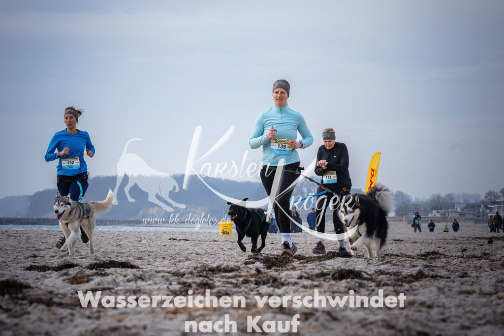 1038_ZZ95751 | kk-dogfotos