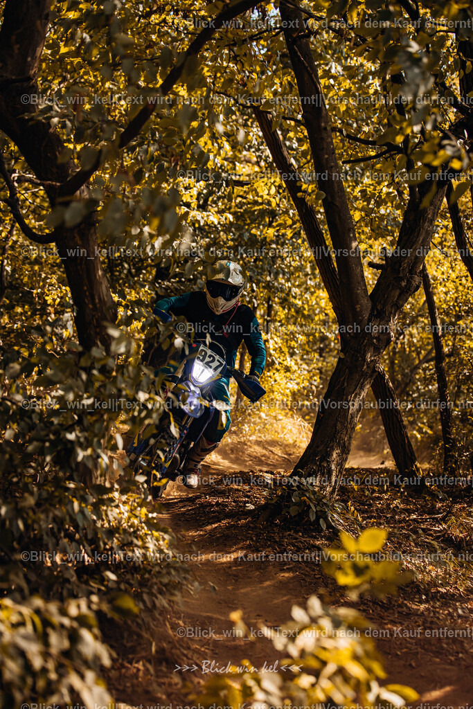 E68A5935 | blick_win_kel