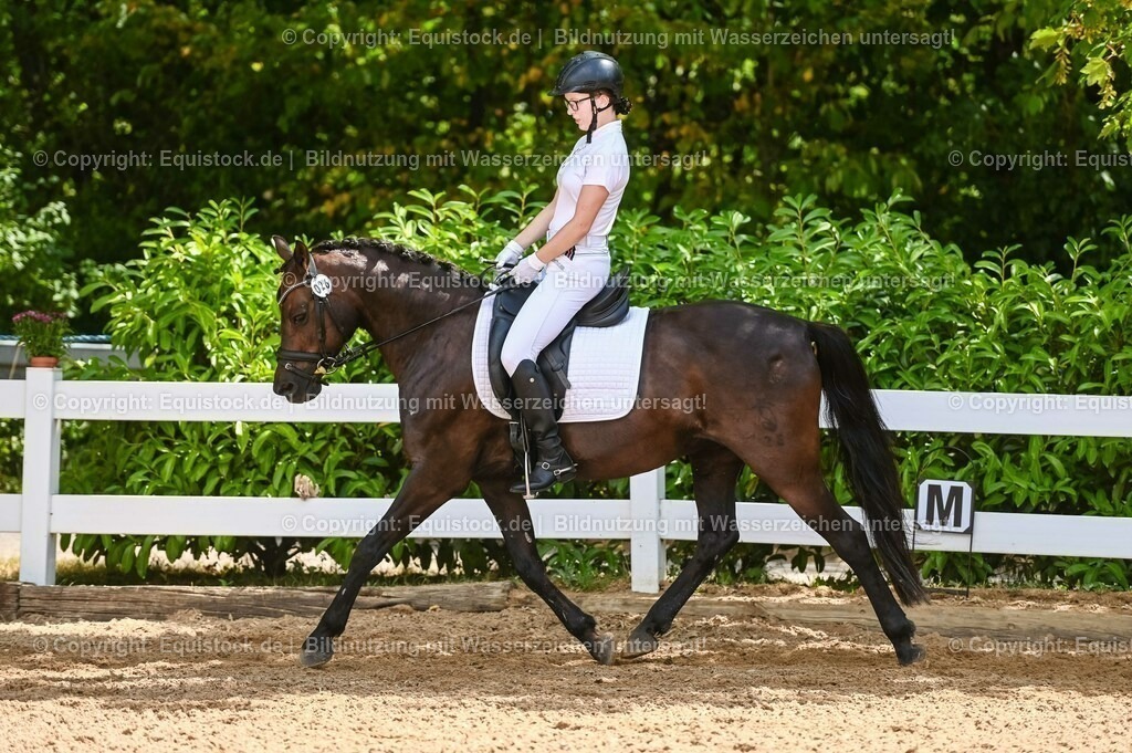 20230715_09_Dressur-WB_0225 | equistock