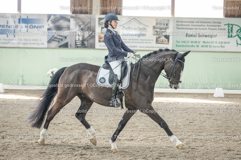 _D5A0657 | Emotionale Pferde- & People-Fotografie rund um Heidelberg, Leimen & Umgebung. Natürliche Fotos von Pferd, Mensch & Familie. Jetzt Termin sichern!