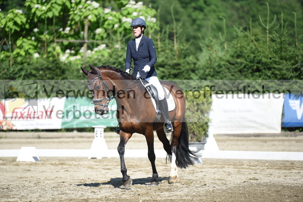 DSC_7780 | equestrian-live-com