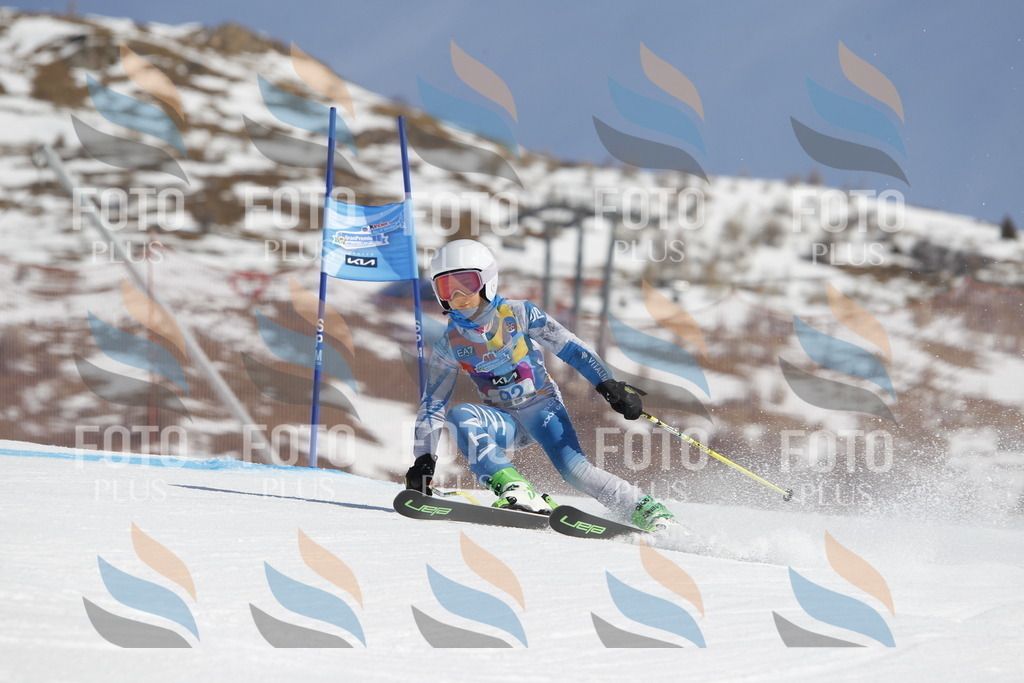 _U3G0194 | holidayphoto