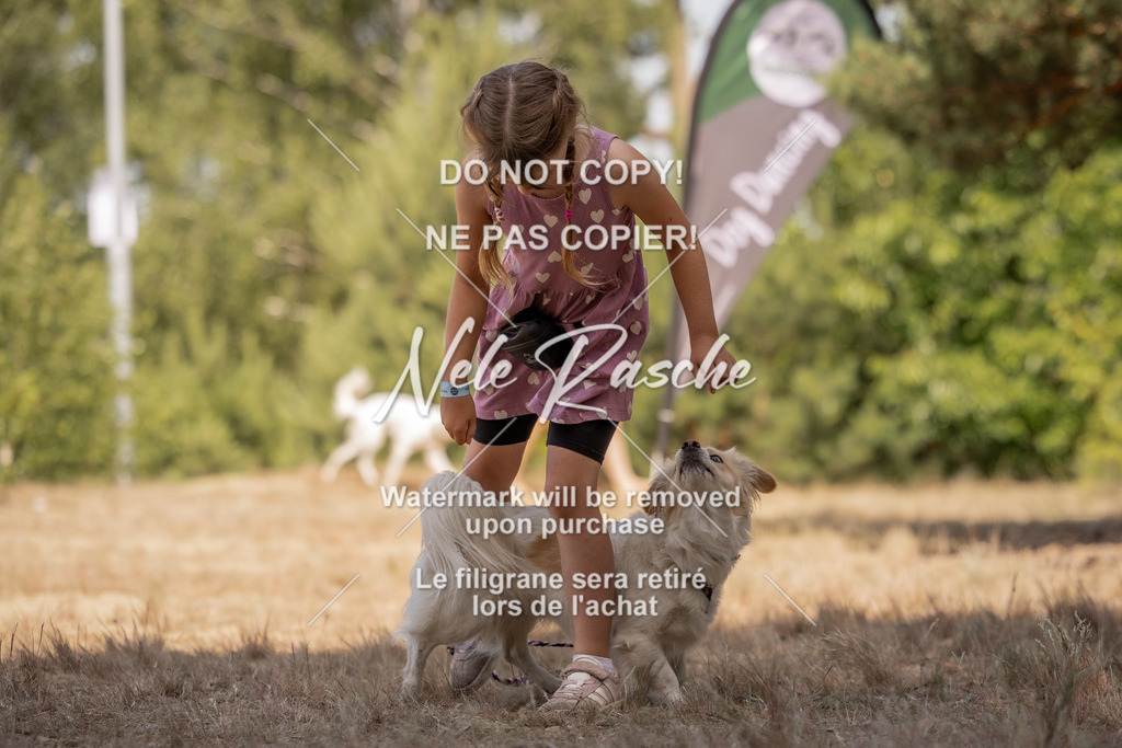 nelerasche_soDD2_299 | nelerasche