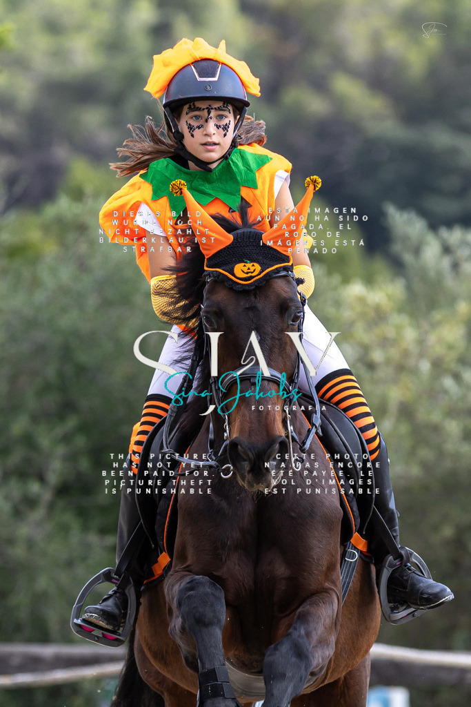 IMG_2251 | s-jay-photography - Realisiert mit Pictrs.com