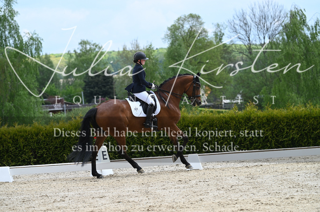 20230512_JK-Röhrsdorf-05-077 | Pferde- und Turnierfotografie in Westsachsen. Pferdeportraits, Auftragszeichnungen und intuitive Kunst.