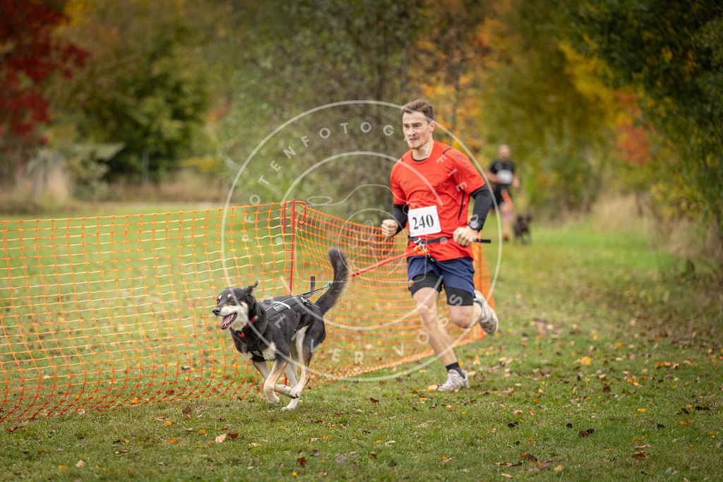 Pfotenfotografie_DV3A4236 | Hundefotografie, Tierfotograf, Pfotenfotografie, Fotoshooting Hund, Hunde Portrait, Hundesport, Hundeportraits, Heideshooting, Hunde, Sportfotograf, Hundefotograf, Turnierhundsport, THS,  - Realisiert mit Pictrs.com