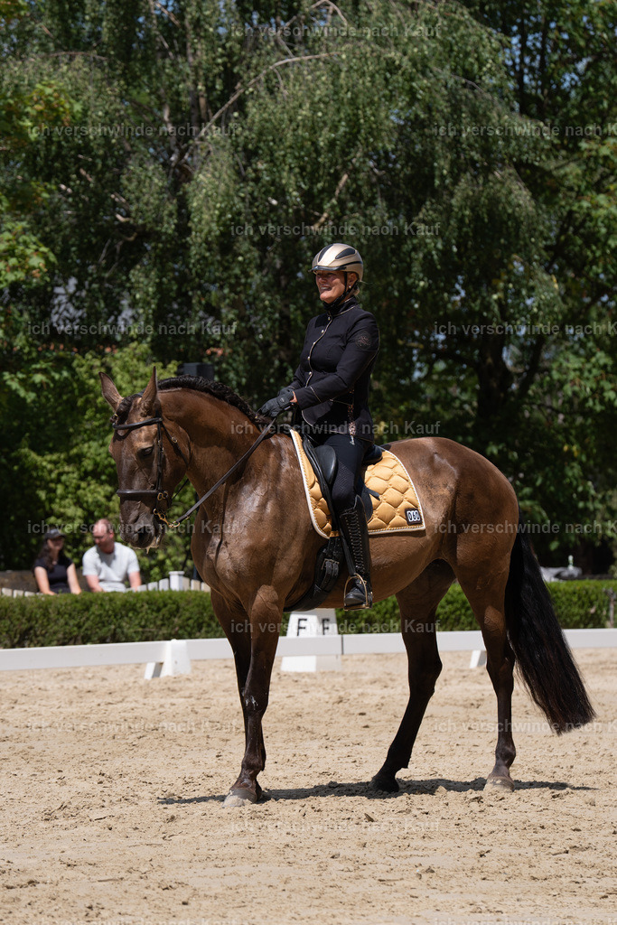 WS_DR_60_sinafilmart_IN02610 | working equitationturnier fotograf videograf stoibphotography marixx film working equitation deutschland reitsport turnierfotografie eventfotografie equestrian events