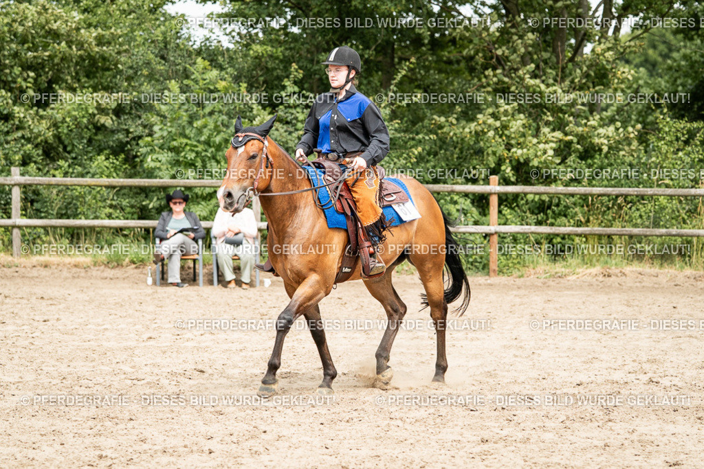 DSC01667 | Pferdegrafie