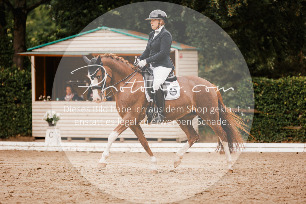 3I6A7800 | Stimmungsvolle Portraits und Reitsportfotografie im Ruhrgebiet und im Münsterland.

Pferdefotografie, Hundefotografie, Tierfotografie, Reportagen, Portraits von Tier und Mensch, Turnierfotografie in Bochum, Recklinghausen, Marl, Haltern am See, Dülmen.. - Realisiert mit Pictrs.com