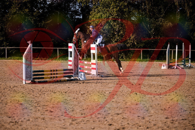 2026_10_03_Siefer-Hof_160647_Z81_88522918 | Professionelle Reitsport-, Turnier- und Eventfotografie von Robert Broda. Galerien mit ausgewählten und bearbeiteten Bildern direkt online ansehen und bestellen.