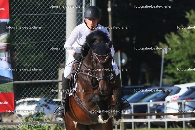 OHT 2022 Röhlingen (130) | Fotografie, Tiere, Hunde, Katzen, Pferde, Sportfotografie, Fotosession, Tierfotografie, Turnierfotografie, Fotografin, Fotograf - Realisiert mit Pictrs.com