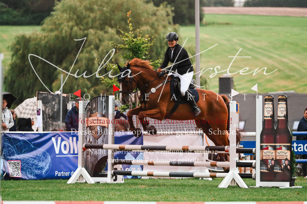 DSC_6431 | Pferde- und Turnierfotografie in Westsachsen. Pferdeportraits, Auftragszeichnungen und intuitive Kunst.
