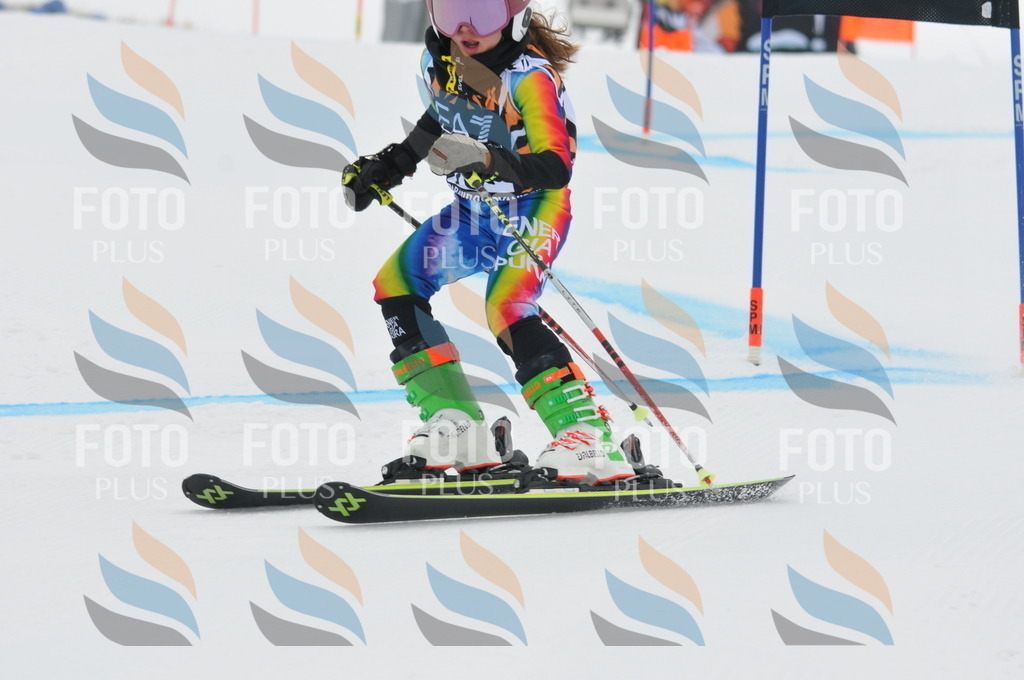 DSC_7517 | holidayphoto