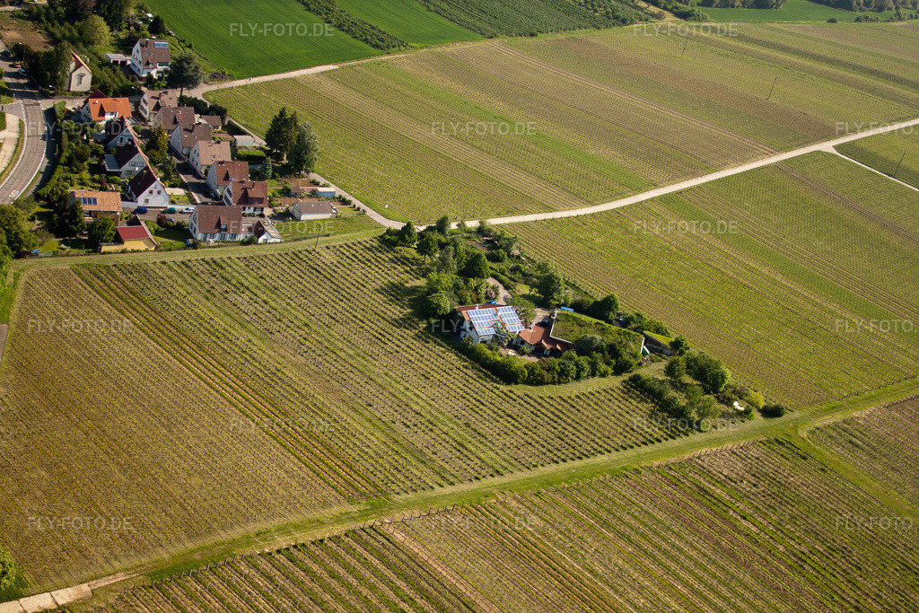 Luftbild: BiolandWeinbau Unterm Grassdach Weingut Marzolph im Ortsteil Wollmesheim in Landau im Bundesland Rheinland-Pfalz in Deutschland. Foto: IMG_27262.jpg vom 23.05.2010 durch Werner Riehm/FLY-FOTO.de