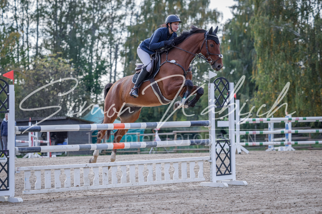 20251012-_3LI5511 | Tierfotografie Pferde, Hunde, Katzen, Haustiere.
Turnierfotografie Reitturniere, Reiten, Springreiten, Dressur in Hanau, dem Main-Kinzig-Kreis und dem Rhein-Main- Gebiet um Frankfurt