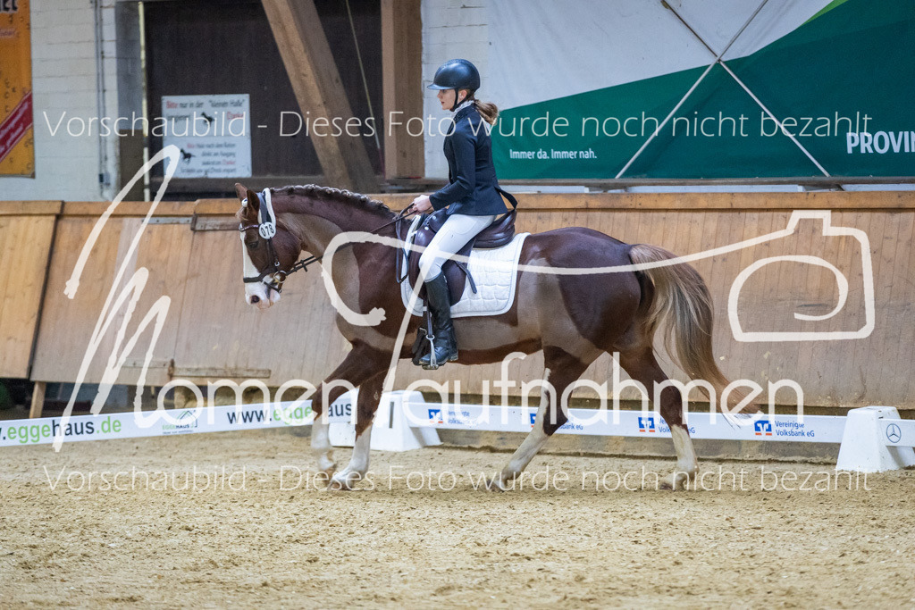 Sth-WBO25-EDr-067 | MomenTaufnahmen Pferdesportfotos