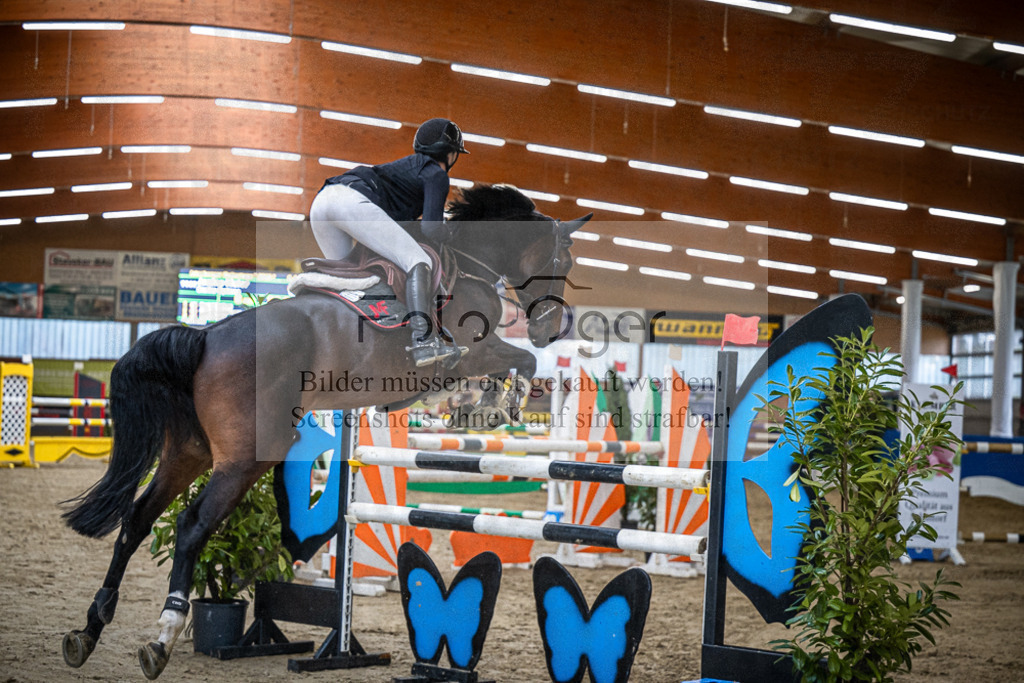 DOS_0293 | Entdecke hochwertige Reitturnierfotos von Foto Oger. Professionell, emotional und authentisch – jetzt Lieblingsmomente im Shop bestellen.Deutschlandweite Turnierfotografie. - Realisiert mit Pictrs.com
