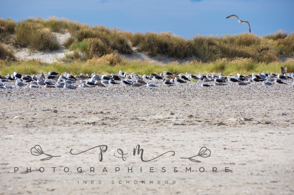 _Grenen22-1807 | Photographies and more - Realisiert mit Pictrs.com
