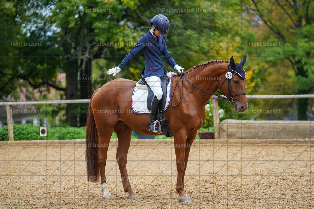 20221008-FAH01935 | Diessen am Ammersee, 2022, Dressur- und Springturnier, Reitsportbilder, Turnierfotografen Bayern, Pferdefotografen, Fotoagentur Herrmann, Turnierbilder