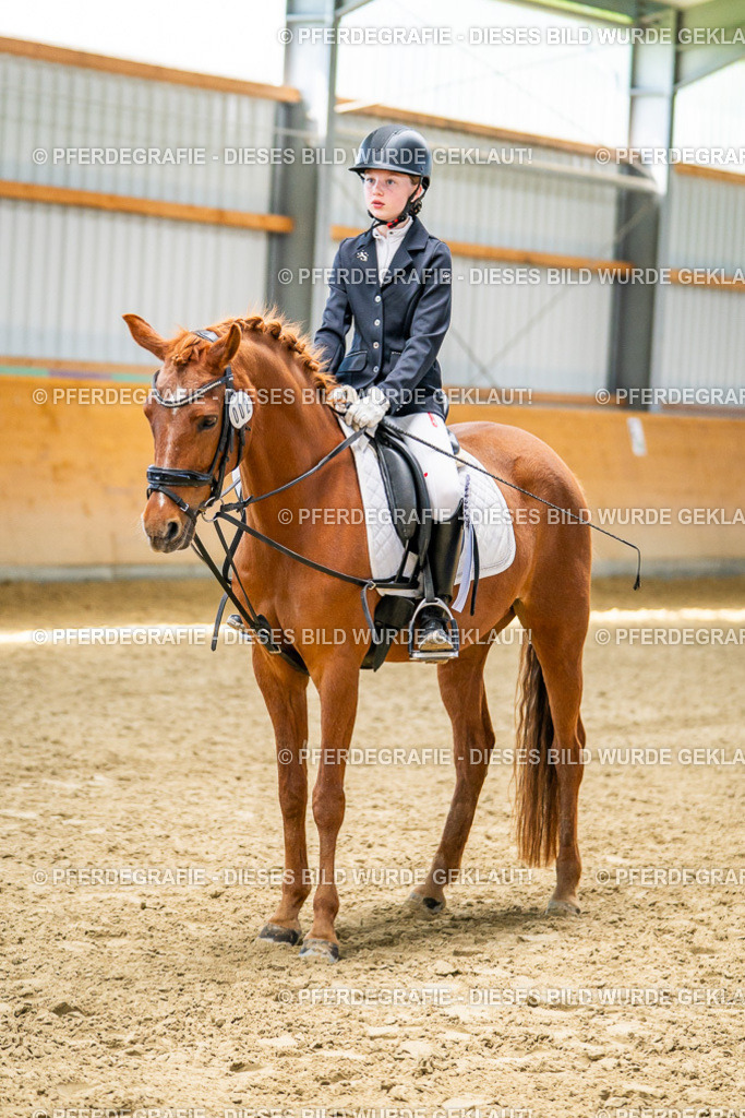 DSC03481 | Pferdegrafie