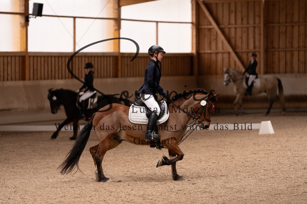A7506963 | Turnier/Reitfotograf
