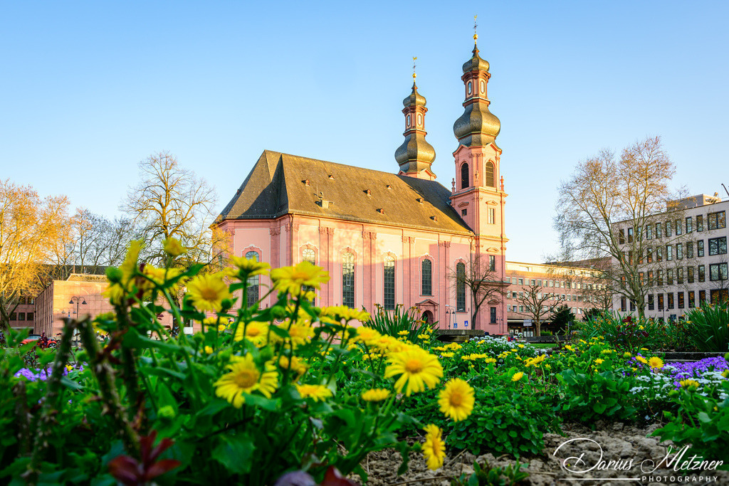 DSC_6800 | Fotografien, Fotos und Bilder aus Mainz, Frankfurt, Wiesbaden und anderen Orten auf der Welt - Fotografiert von Darius Metzner