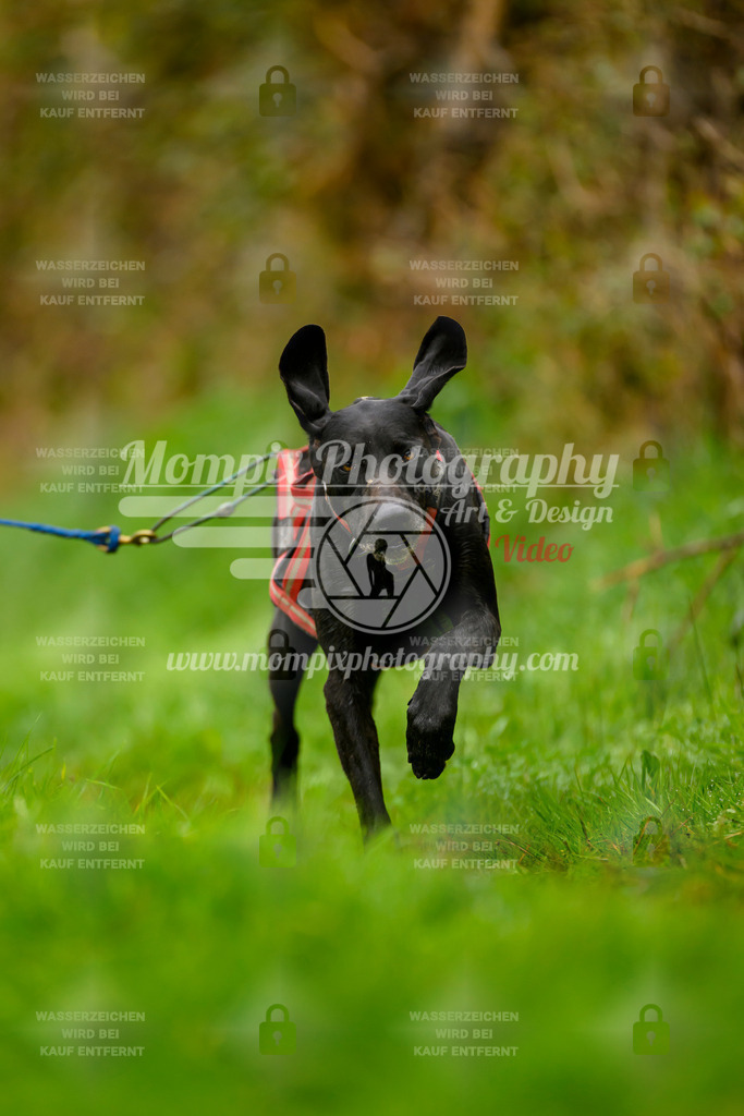 MompixPhotography_20TSB_E8_Bike-152 | PayLife