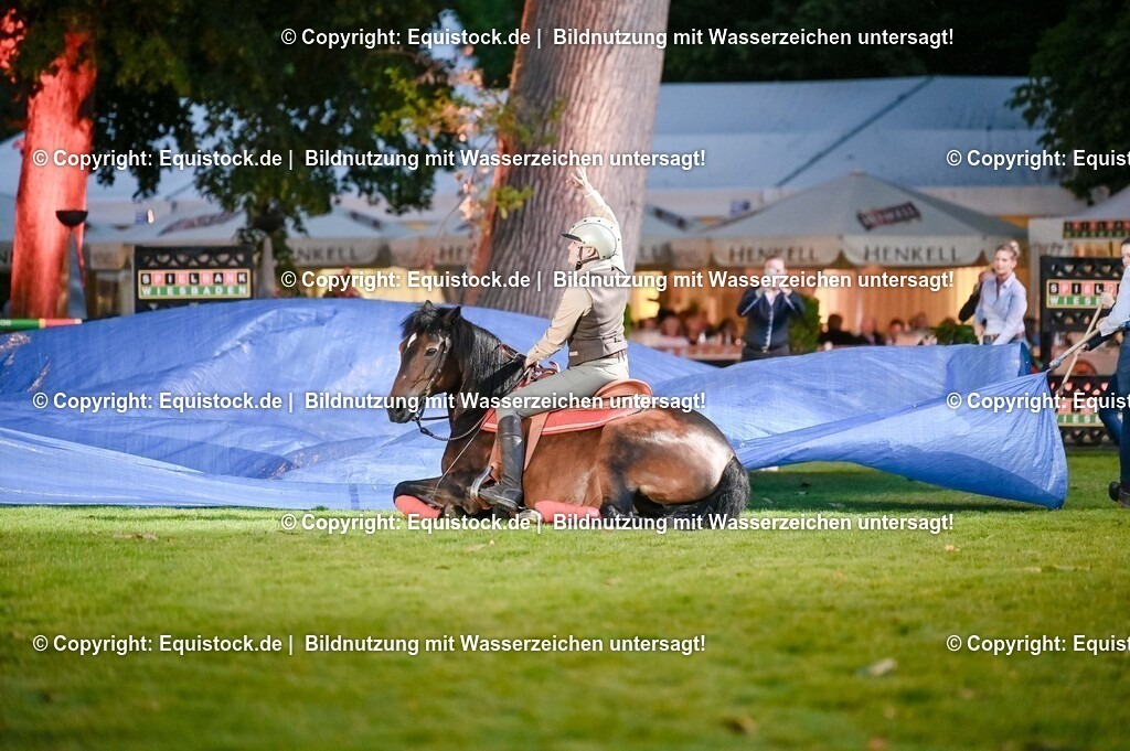 20250606_Lange-Pferdenacht_1025 | Foto: Thomas Hartig