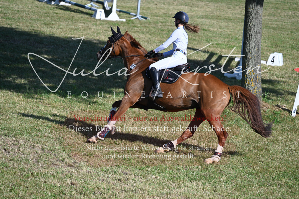 DSC_2301 | Pferde- und Turnierfotografie in Westsachsen. Pferdeportraits, Auftragszeichnungen und intuitive Kunst.