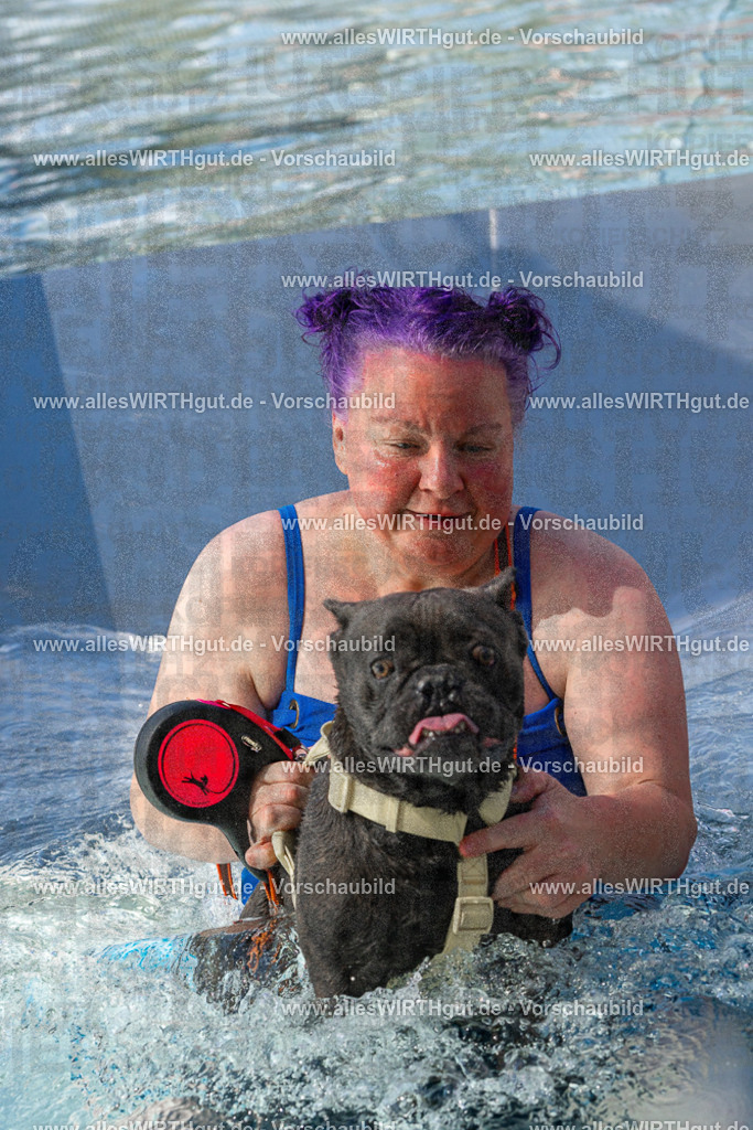 Hundeschwimmen_Volksbad_2026-allesWIRTHgut_Tierfotografie-2609061312-FAY06694 | Professionelle Tierfotografie in Mönchengladbach von Daniel Wirth (allesWIRTHgut). Liebevolle & natürliche Bilder von Hunden & Katzen für unvergessliche Erinnerungen.