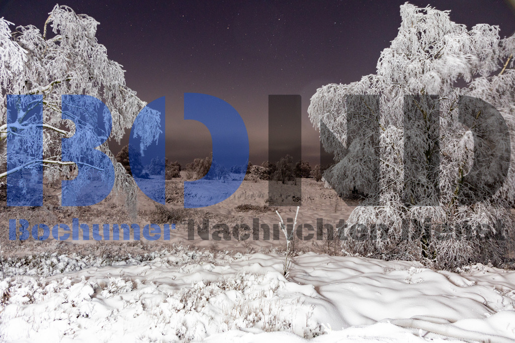 Hohes Venn bei Nacht im Schnee {date} -  | {headline}



(Foto: Sebastian Sendlak / BOND)

 - Realisiert mit Pictrs.com