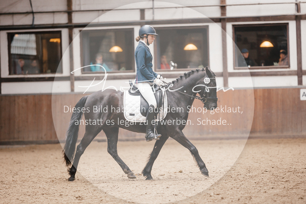 3I6A7543 | Stimmungsvolle Portraits und Reitsportfotografie im Ruhrgebiet und im Münsterland.

Pferdefotografie, Hundefotografie, Tierfotografie, Reportagen, Portraits von Tier und Mensch, Turnierfotografie in Bochum, Recklinghausen, Marl, Haltern am See, Dülmen.. - Realisiert mit Pictrs.com