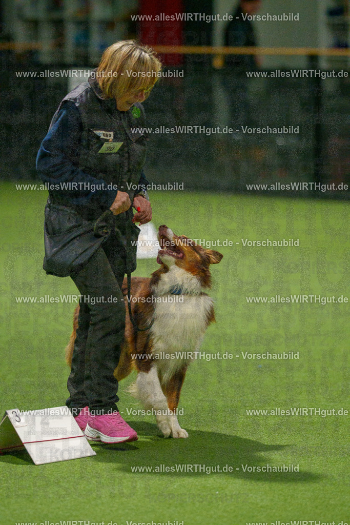 7R508708 | Professionelle Tierfotografie in Mönchengladbach von Daniel Wirth (allesWIRTHgut). Liebevolle & natürliche Bilder von Hunden & Katzen für unvergessliche Erinnerungen.