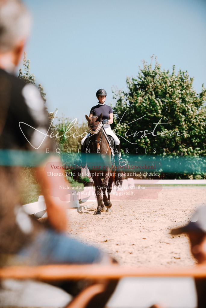 DSC_2969 | Pferde- und Turnierfotografie in Westsachsen. Pferdeportraits, Auftragszeichnungen und intuitive Kunst.