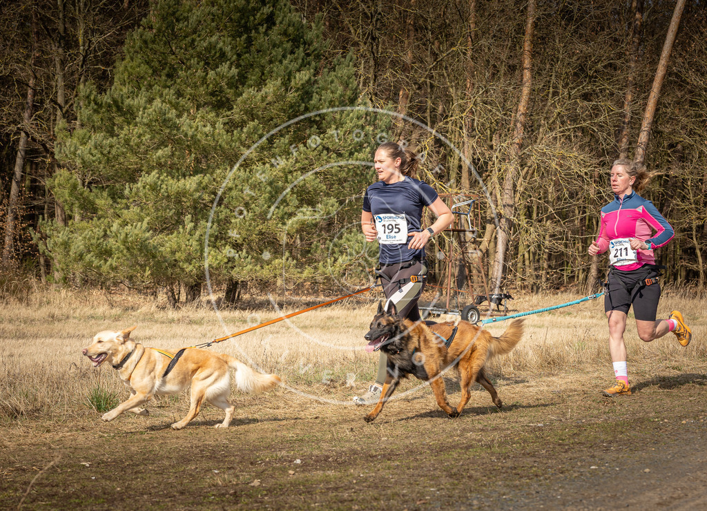 DV3A5795 | Hundefotografie, Tierfotograf, Pfotenfotografie, Fotoshooting Hund, Hunde Portrait, Hundesport, Hundeportraits, Heideshooting, Hunde, Sportfotograf, Hundefotograf, Turnierhundsport, THS,  - Realisiert mit Pictrs.com