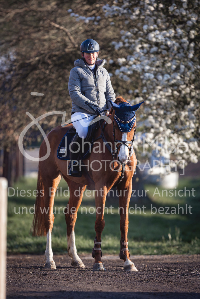 250408_Mühlen_SprPf-A1-119 | Deine schönsten Turniermomente als professionelle Fotos! Entdecke hochwertige Pferdesport-Fotografie im Online-Shop. Jetzt Fotos finden & bestellen!