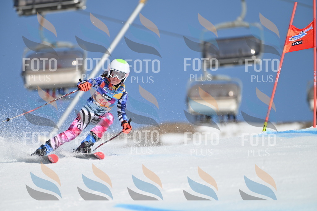 BGV_8422 | holidayphoto