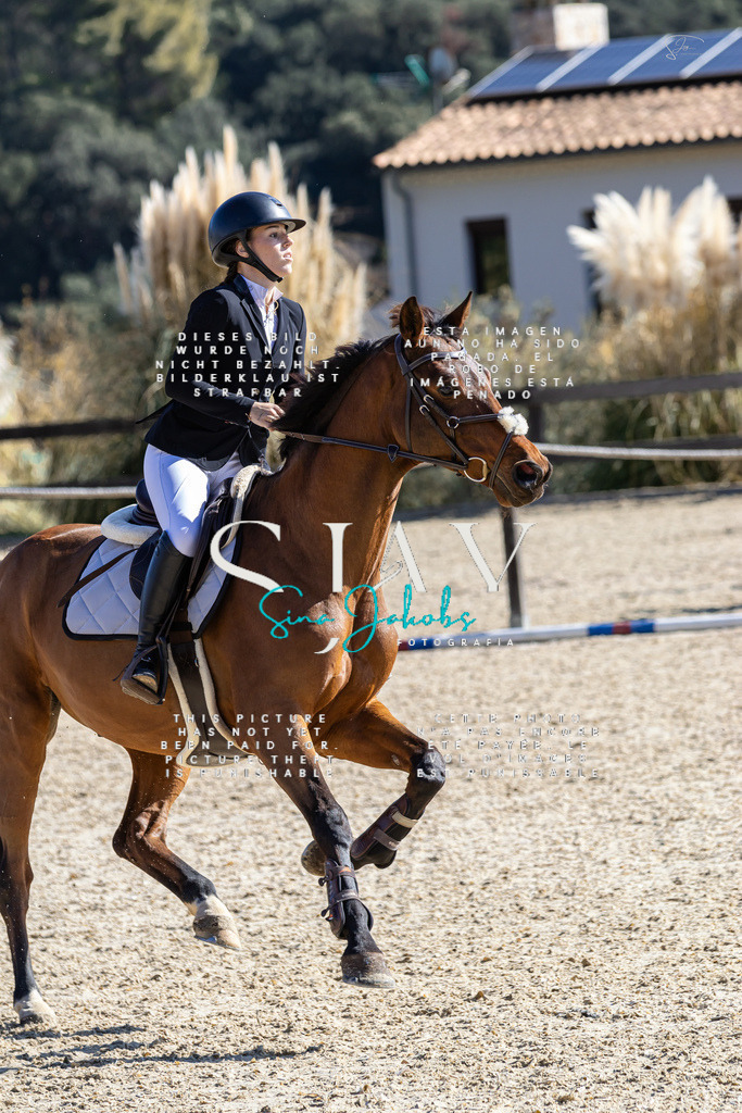 IMG_6506 | s-jay-photography - Realisiert mit Pictrs.com