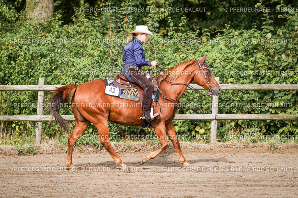 DSC00270 | Pferdegrafie