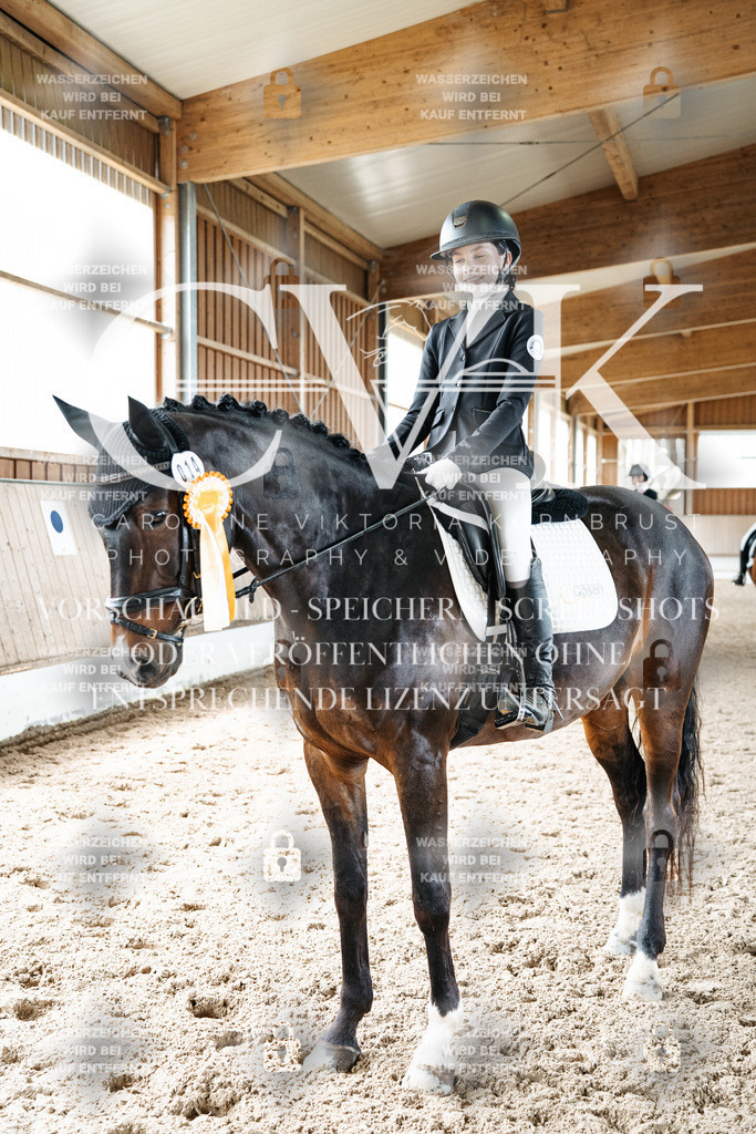 CK703351 | Turnierfotografie Pferdefotografie Trier Rheinland-Pfalz Pferdesport Reitsport Tierfotografie Sportfotografie Pferdevideo Pferdevideografie Equestrianvideography equestrianphotography  - Realisiert mit Pictrs.com