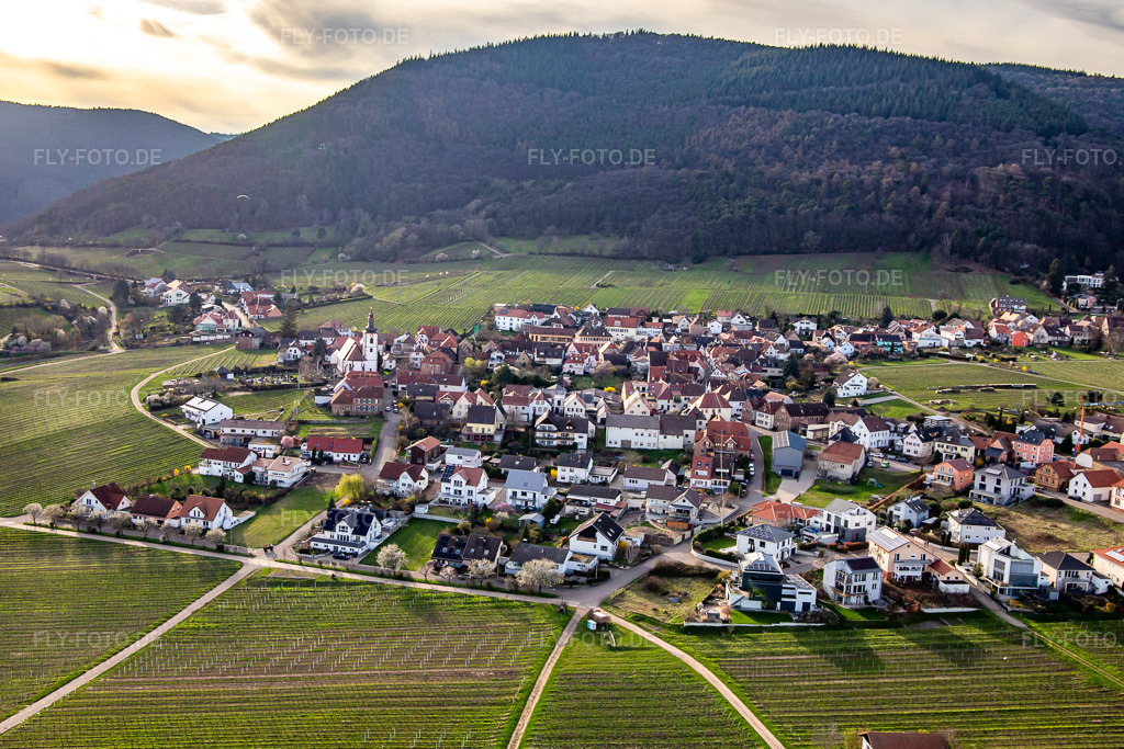 Luftbild: Ortsansicht von Osten in Weyher in der Pfalz im Bundesland Rheinland-Pfalz in Deutschland. Foto: IMG_140025.jpg vom 14.03.2024 durch Werner Riehm/FLY-FOTO.de