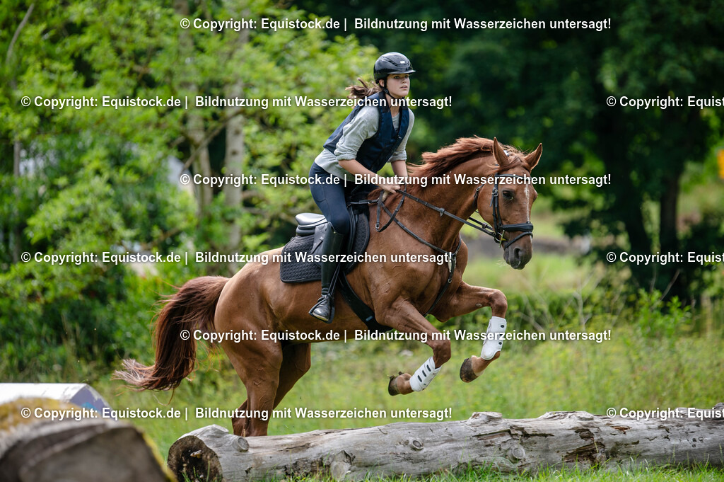 20250725_Vielseitigkeitslehrgang-Marbach_0333 | Foto: Thomas Hartig