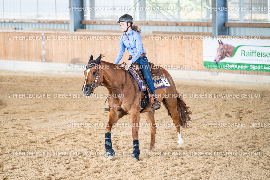 DSC03077 | Pferdegrafie